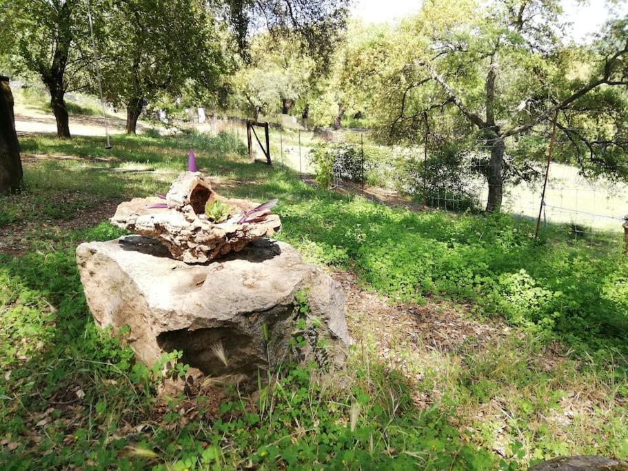 Casa Rural Alicia กอร์เตกานา ภายนอก รูปภาพ